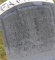 James Whiteside