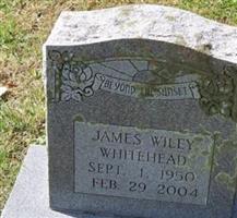 James Wiley Whitehead