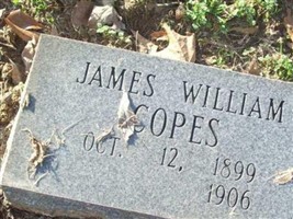 James William Copes James William Copes