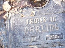 James William Darling James William Darling