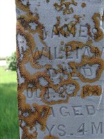James William Fleming