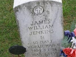 James William Jenkins