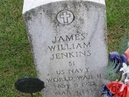 James William Jenkins James William Jenkins