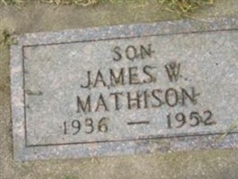 James William Mathison James William Mathison