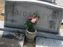 James William Moseley, Sr (1877194.jpg)