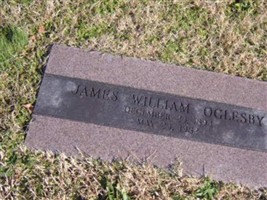 James William Oglesby, Jr James William Oglesby, Jr