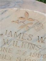 James William Wilkins