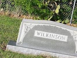 James William Wilkinson