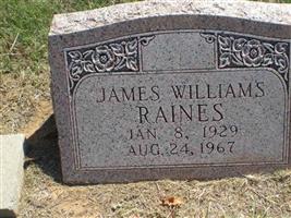 James Williams Raines