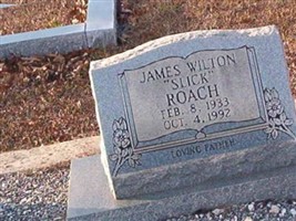 James Wilton Roach