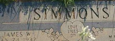 James Wyatt Simmons James Wyatt Simmons
