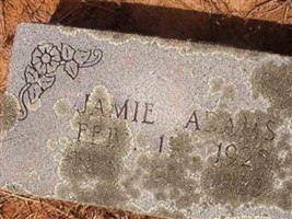 Jamie Adams Jamie Adams