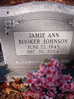 Jamie Ann Booker Johnson