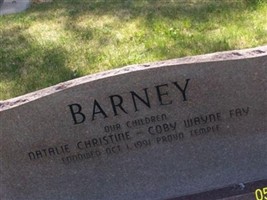 Jan Carole Bredsguard Barney