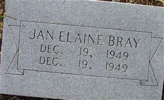Jan Elaine Bray Jan Elaine Bray