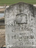 Jan Elsik Jan Elsik