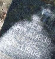 Jan Van Dam Jan Van Dam