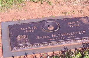 Jana M. Lingerfelt