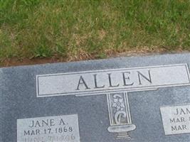Jane A Allen