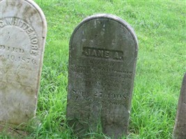 Jane A Whittemore Jane A Whittemore