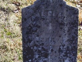 Jane Anglin Clark Jane Anglin Clark