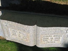 Jane Angus Banks Jane Angus Banks