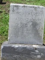 Jane Ann Paine Calvert Jane Ann Paine Calvert