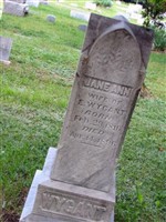 Jane Ann Wygant Jane Ann Wygant
