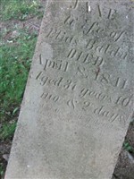 Jane Baldwin
