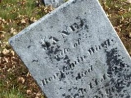 Jane Bond Wing