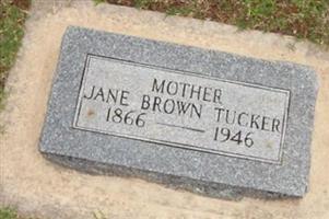 Jane Brown Tucker