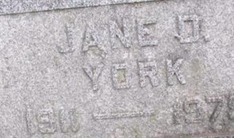 Jane D York