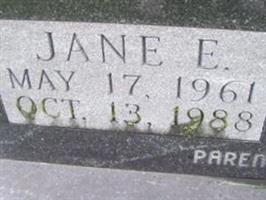 Jane E Mayhew