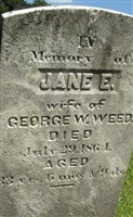 Jane E Weed