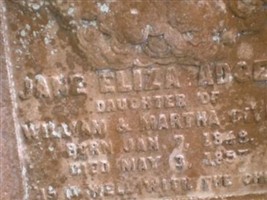 Jane Eliza Adger Given Jane Eliza Adger Given