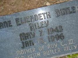 Jane Elizabeth Butler Riley