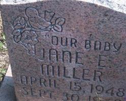 Jane Ellen Miller