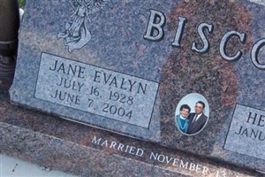 Jane Evalyn Herbst Bisco Jane Evalyn Herbst Bisco