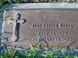 Jane Evelyn Borek