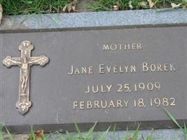 Jane Evelyn Borek
