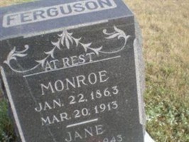 Jane Ferguson Jane Ferguson
