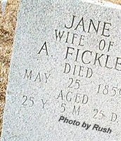 Jane Fickle Jane Fickle