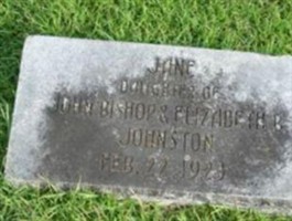 Jane Johnston