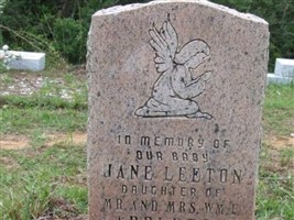 Jane Leeton Appleton Jane Leeton Appleton