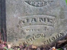 Jane Lewis Thorn Jane Lewis Thorn
