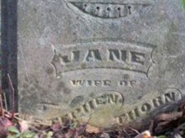 Jane Lewis Thorn Jane Lewis Thorn