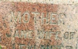 Jane Metz Jane Metz