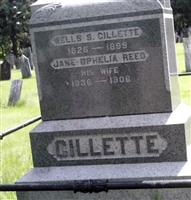 Jane Ophelia Reed Gillett (2069892.jpg)