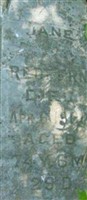 Jane Redfern Jane Redfern