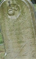 Jane Seguine LaForge